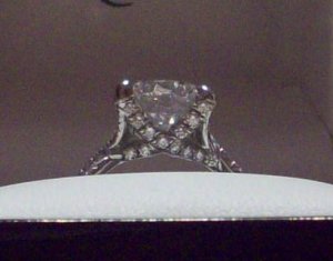 2009-02 001.1.jpg
