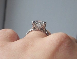 2009-02 035.1.jpg