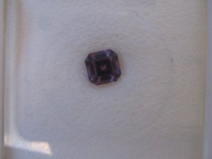 DaynaAsscher5.jpg