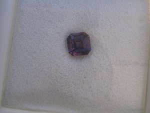 DaynaAsscher7.jpg