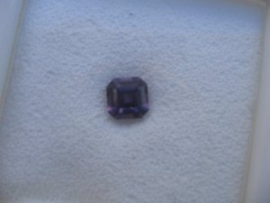DaynaAsscher8.jpg