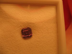 DaynaAsscher13.jpg