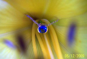 paraiba_037.jpg