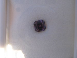 DaynaAsscher4.jpg