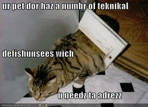 lolcatsurpetdornazanumbrofteknikaldefishunsees.jpg