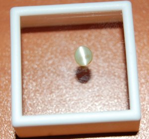 3531025622_5c4006729d_o.jpg