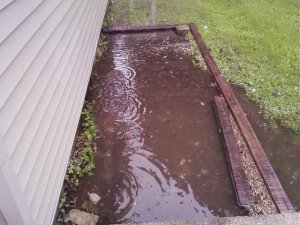 Pondgardenmay09.JPG