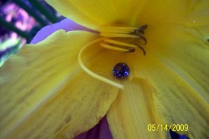 spinel_003.jpg