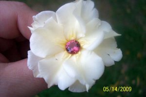 tourmaline_001.jpg