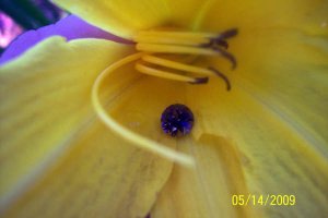 spinel_005.jpg