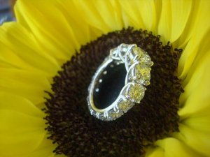 sunflowerside01777.JPG