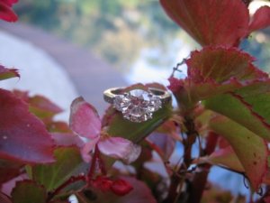 IMG_2200.JPG