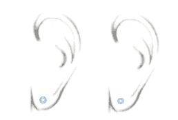 tddcsize1.jpg