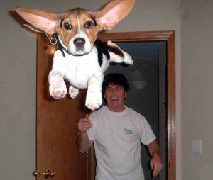 icanfly.JPG