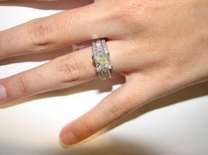Picture015resize3.jpg
