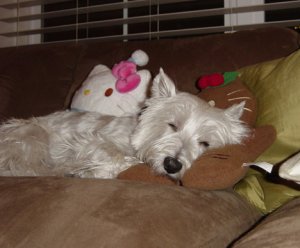 gingerbread puppy 2005a.jpg