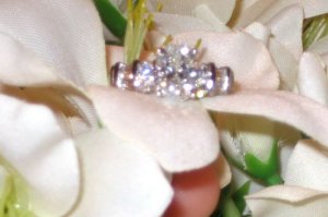 oval close up.jpg