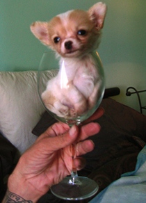 Jigger_cup123.jpg