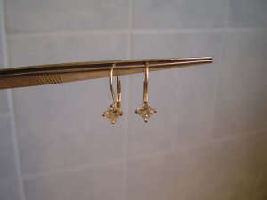 cmsprinearrings.jpg