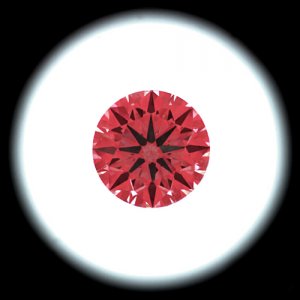 IS_AGS8982801.jpg