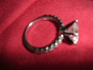 scalloped.gif