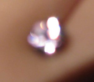 IMG_1922 Freke.jpg