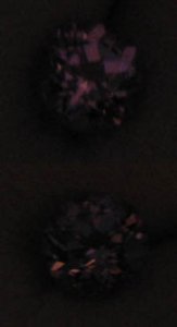 In the dark freke.jpg