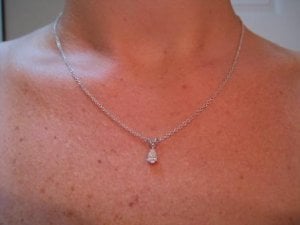 IMG_1149pear1.JPG IMG_1149pear1.JPG