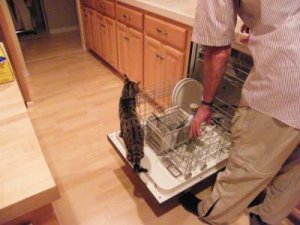 dishhelper400.jpg