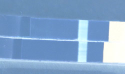 paninvert 163.jpg