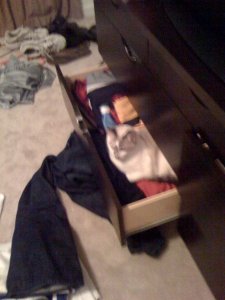 peekachooindrawer.jpg