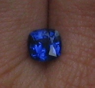Copy of IMG_0400 crop.JPG