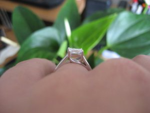 crookedtrellis12345.jpg crookedtrellis12345.jpg