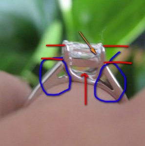 1crookedtrellis12345.jpg