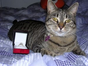 Lucy_and_ring_1.jpg Lucy_and_ring_1.jpg