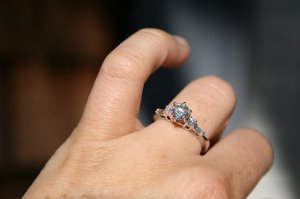 IMG_0362.jpg