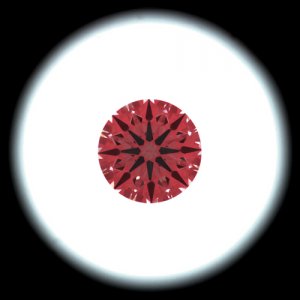 IS_AGS7760904.jpg