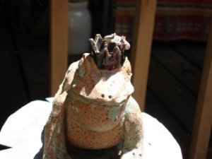 Frogprince1JMT.JPG