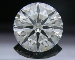 DI40X_AGS7760904.jpg