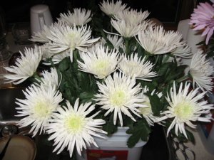 flowers 002 small.jpg