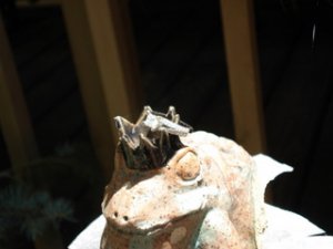 Frogprince3JMT.JPG