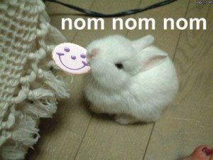 nom-nom-nom.jpg