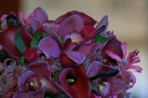 IMG_40623453.jpg