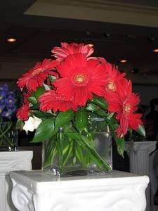 876901513112_0_ALB.JPG
