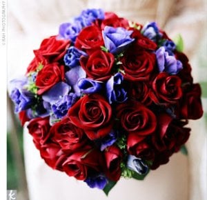 RedPurple3.jpg