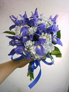 iris_n_hydrangea.jpg