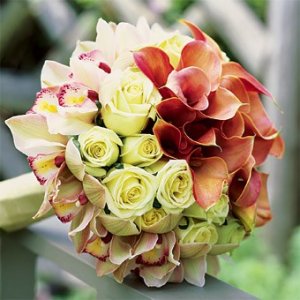orangecalla.jpg