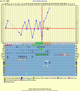 untitled10-22-08.gif