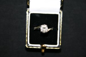 102208topofringmeg.JPG
