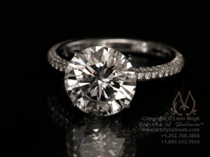 mege r851-002Ww.jpg